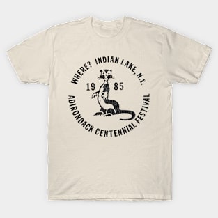 Adirondack Centennial Fest, NY T-Shirt